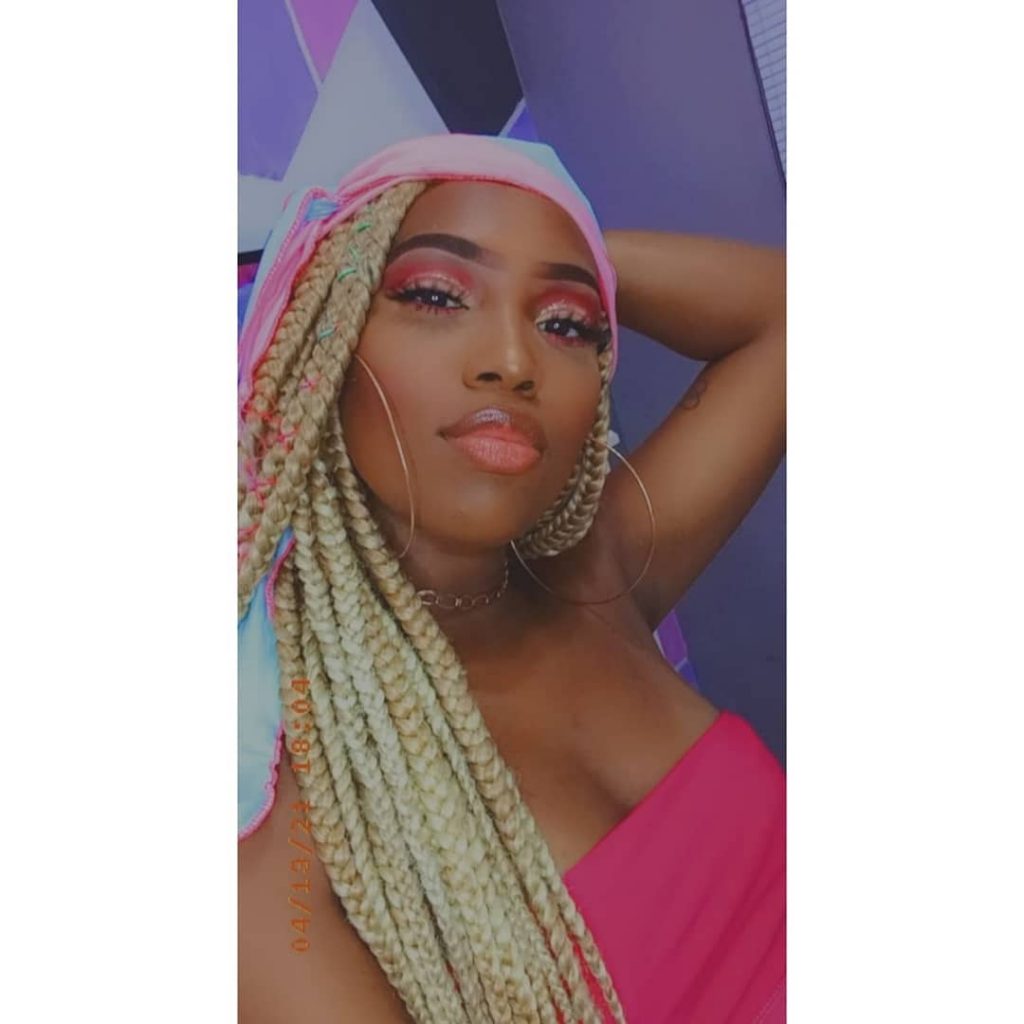 leidy elin bbb 24 instagram