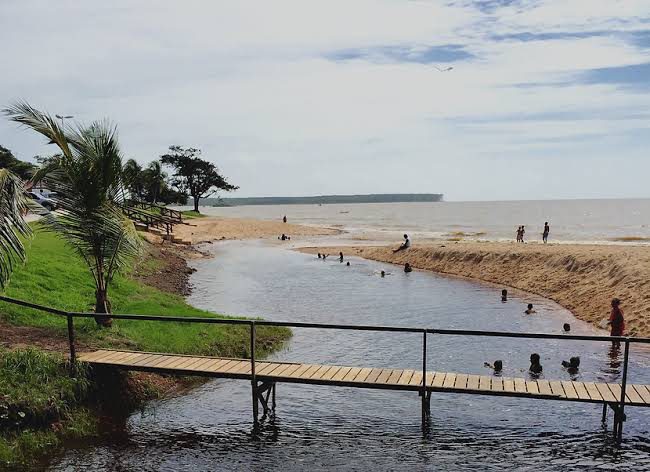 Vídeos ilha do marajó